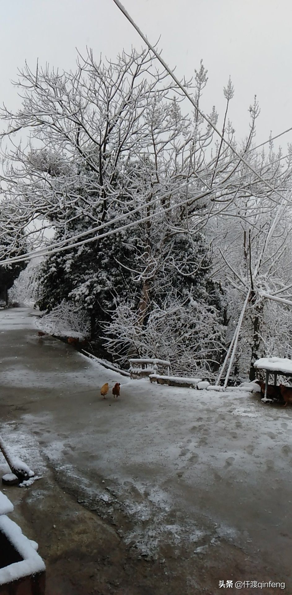 雪地里的小画家