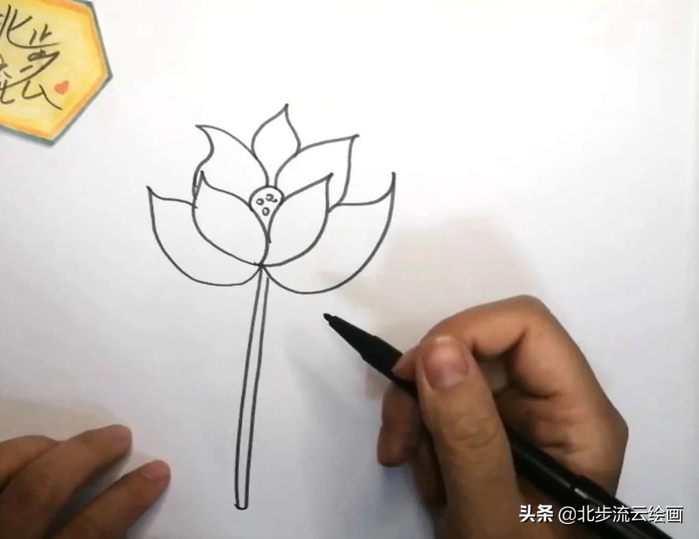 简单易学的荷花简笔画，让孩子轻松掌握绘画技巧，培养绘画兴趣