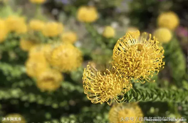 什么是释怀？释怀就是……