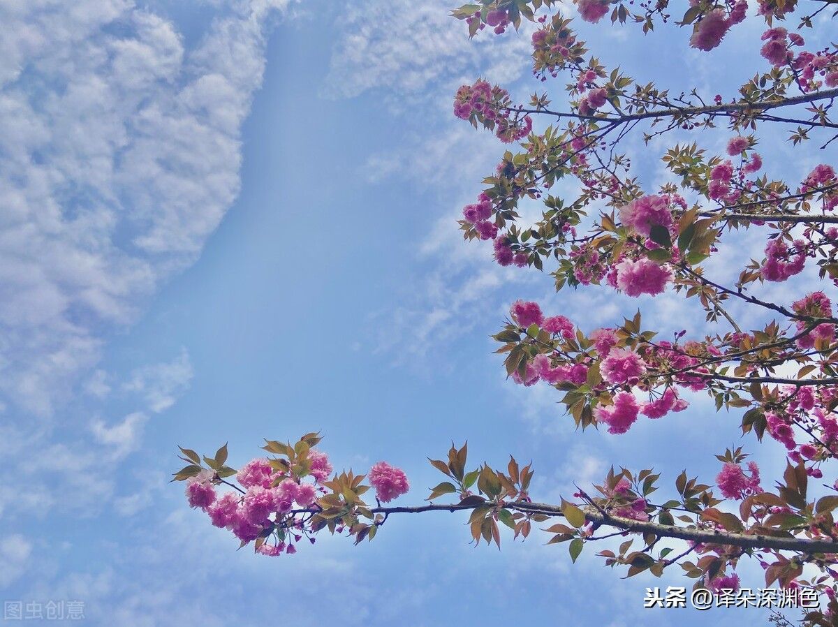 感性和理性是什么意思(理性的人和感性的人的区别)