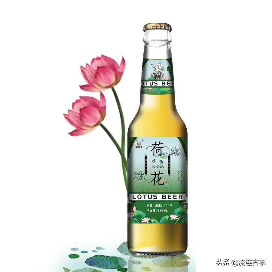 荷花啤酒全国招代理，0元加盟