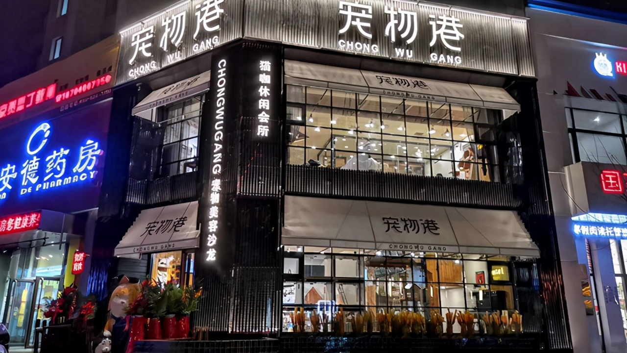 开个宠物店费用大概多少钱（加盟品牌宠物港宠物店费用）