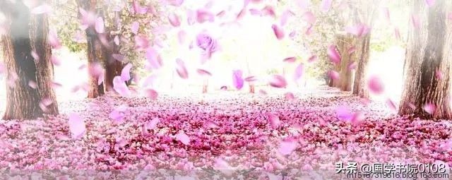 花的诗句经典名句有哪些(30首关于落花古诗词大全)