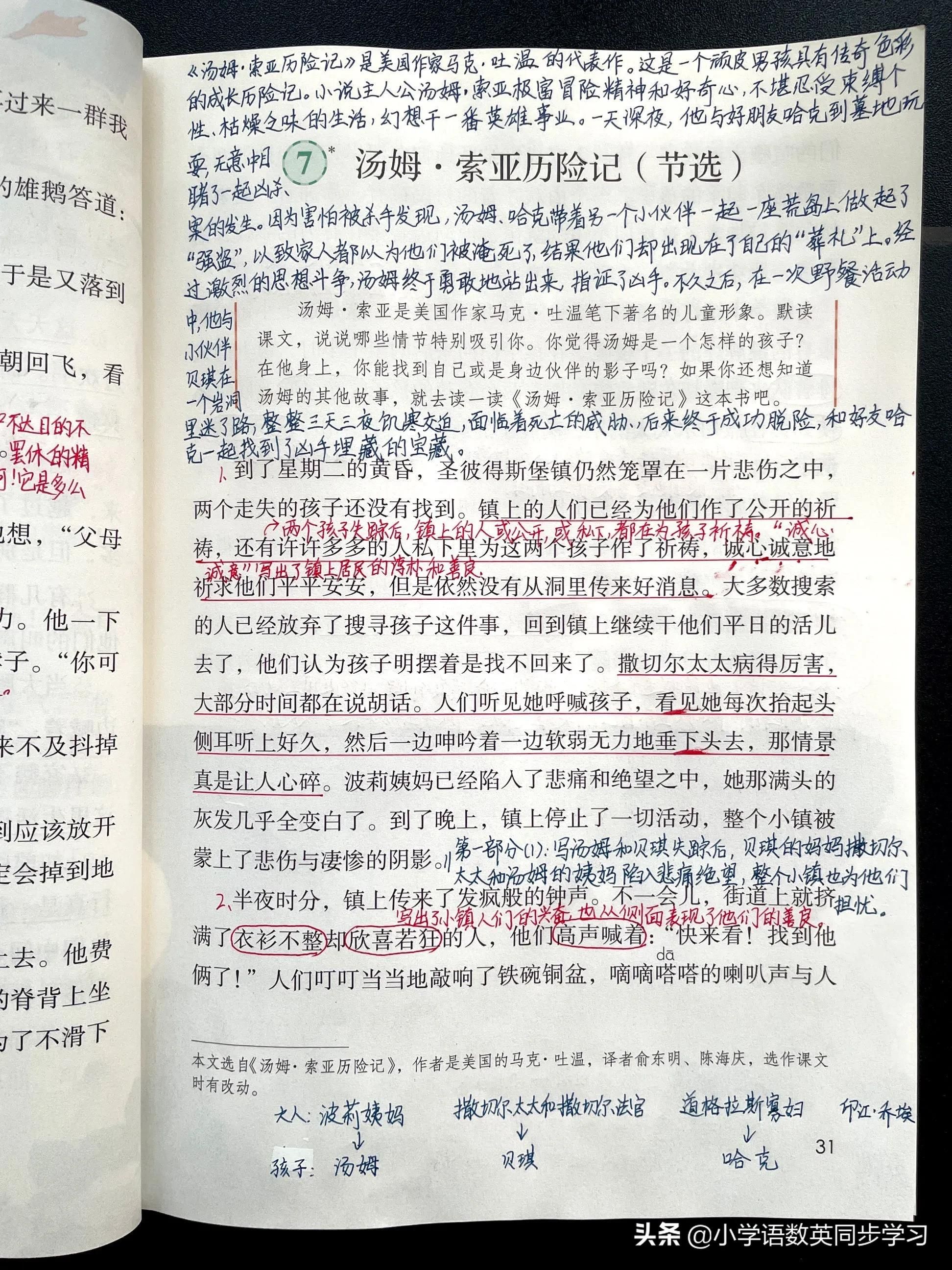 汤姆索亚历险记好句摘抄赏析(汤姆索亚历险记每章主要内容)