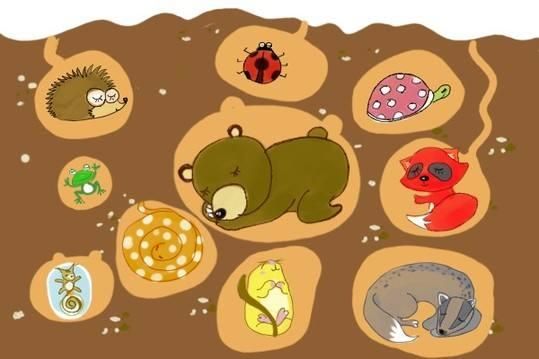 需要冬眠的动物有哪些(15种冬天冬眠的动物图片大全)