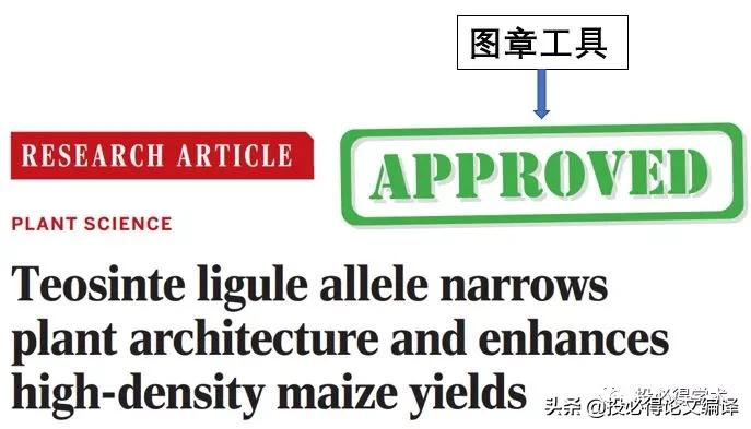 硕士博士福音：超好用的7大PDF工具汇总