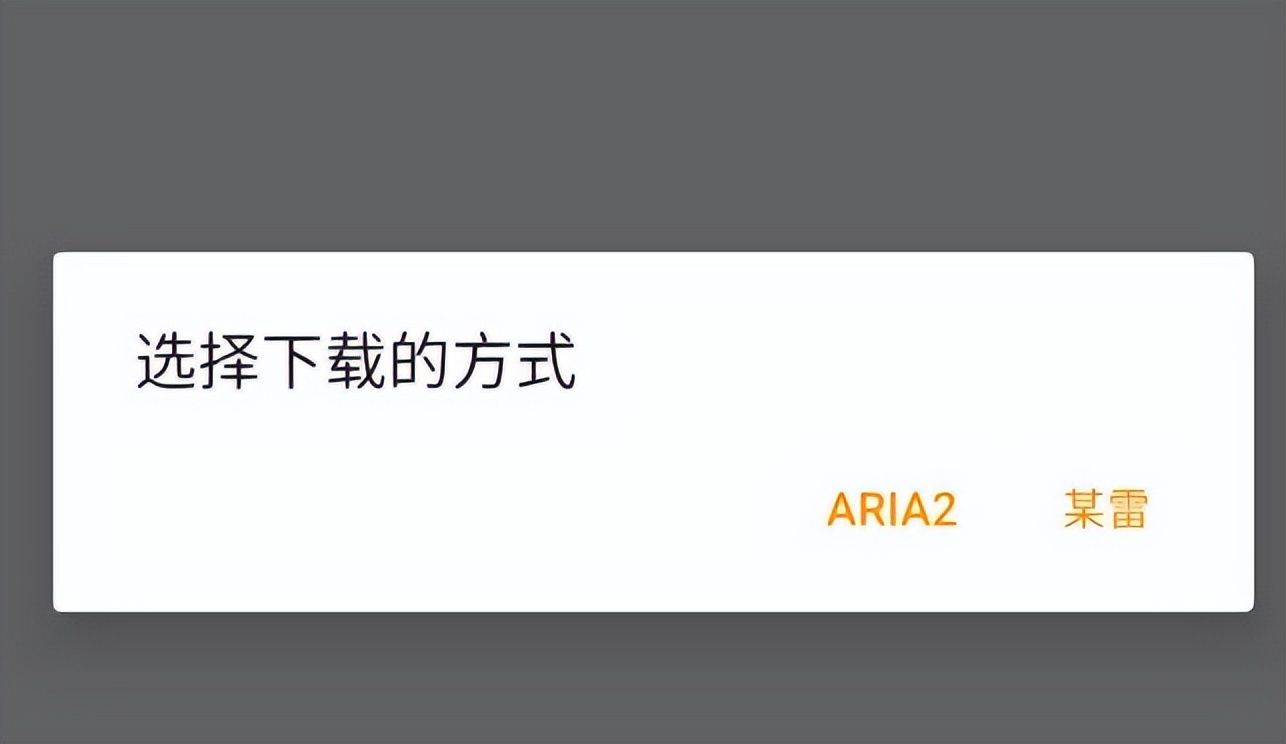 老司机必备下载器！搜罗全网视频资源，10M/s