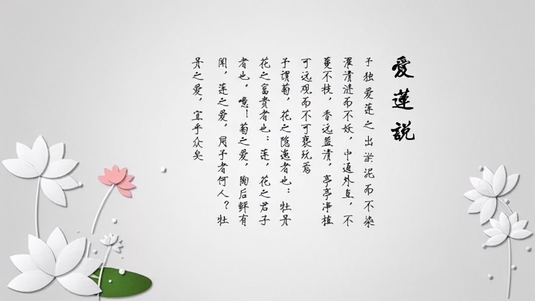 白莲花是什么意思网络词（白莲花袭人如何玩转职场）