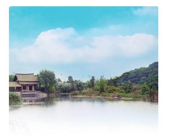 游山西村表达了诗人怎样的感情(游山西村全诗赏析)