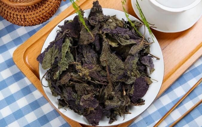 紫苏是什么植物(紫苏叶的功效与作用)