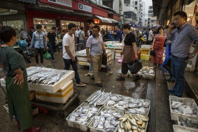 浙江舟山渔场渔业现状（过度捕捞渔场已成“死海”）