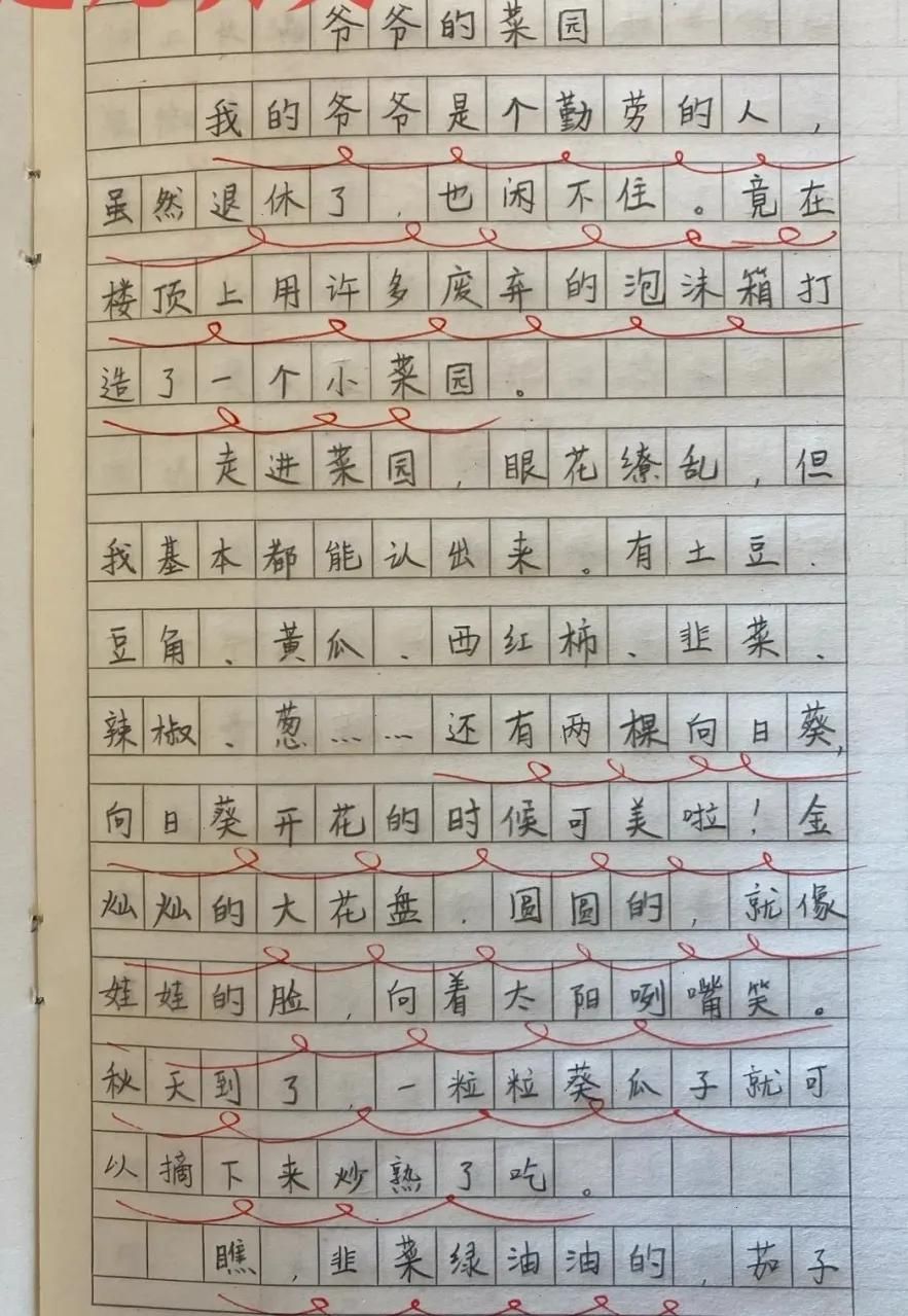 满分作文《有你，真好》令人耳目一新，这题材，不得高分才怪