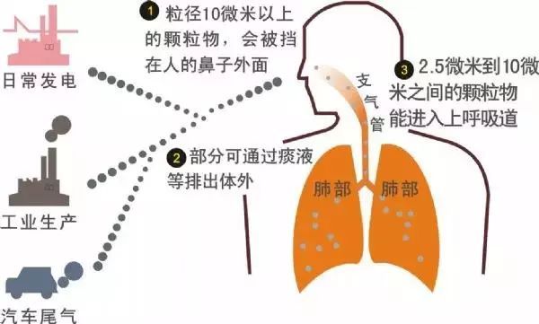 「科普」PM2.5和PM10的来源、危害和区别，别被孩子问倒了