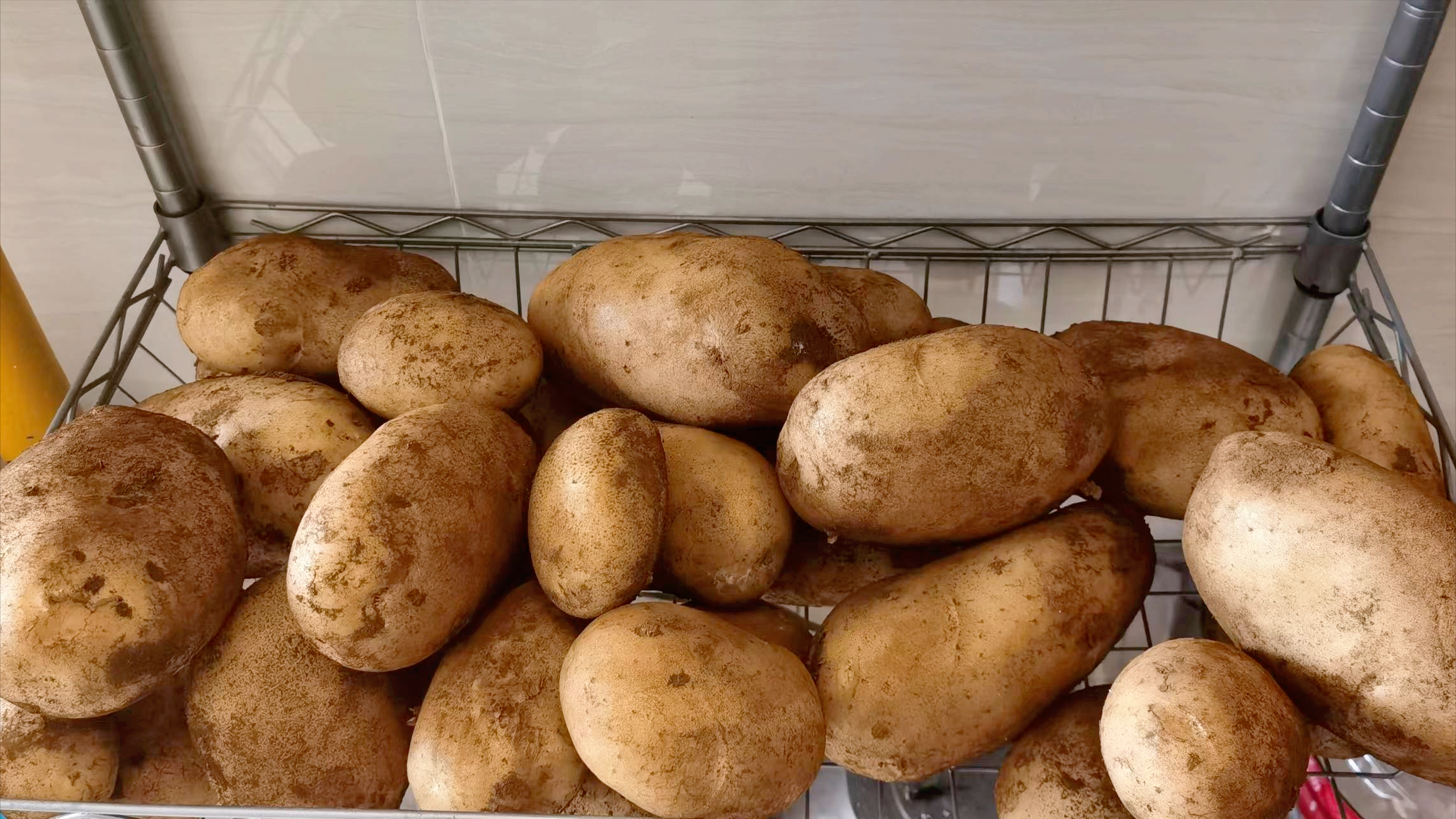 土豆·洋芋·potato