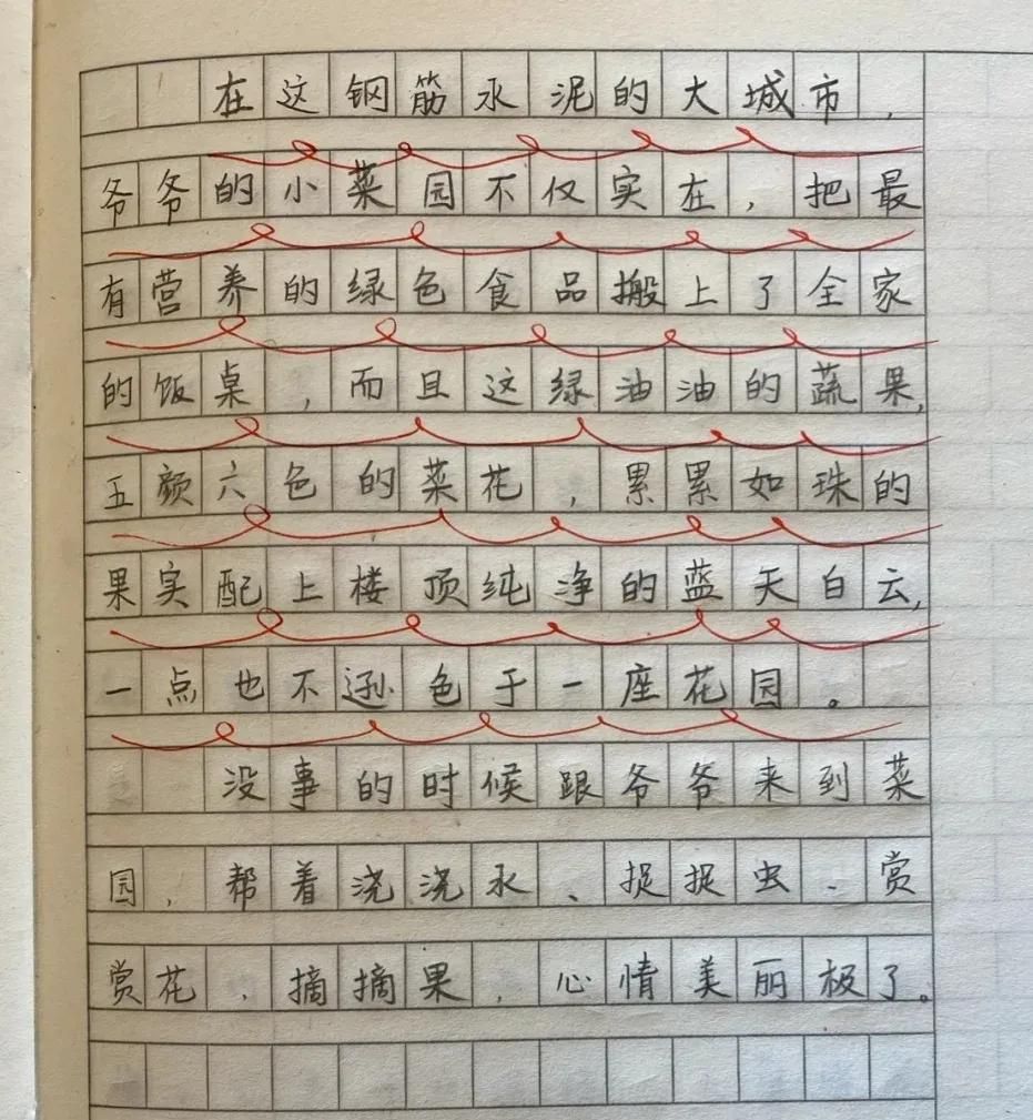 满分作文《有你，真好》令人耳目一新，这题材，不得高分才怪
