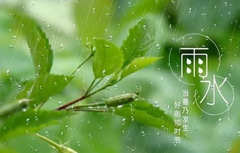 雨水是怎么样形成的（雨形成的科学原理解说）