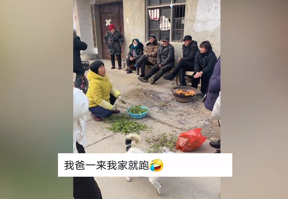 江苏一女子将爸妈接城里后，无奈又送回老家：住不惯还“受罪”