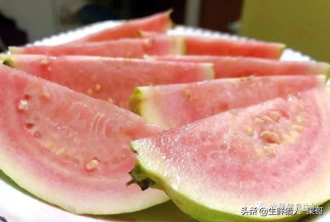 小众水果芭乐，又被茶饮店们带火了，最全芭乐说明书
