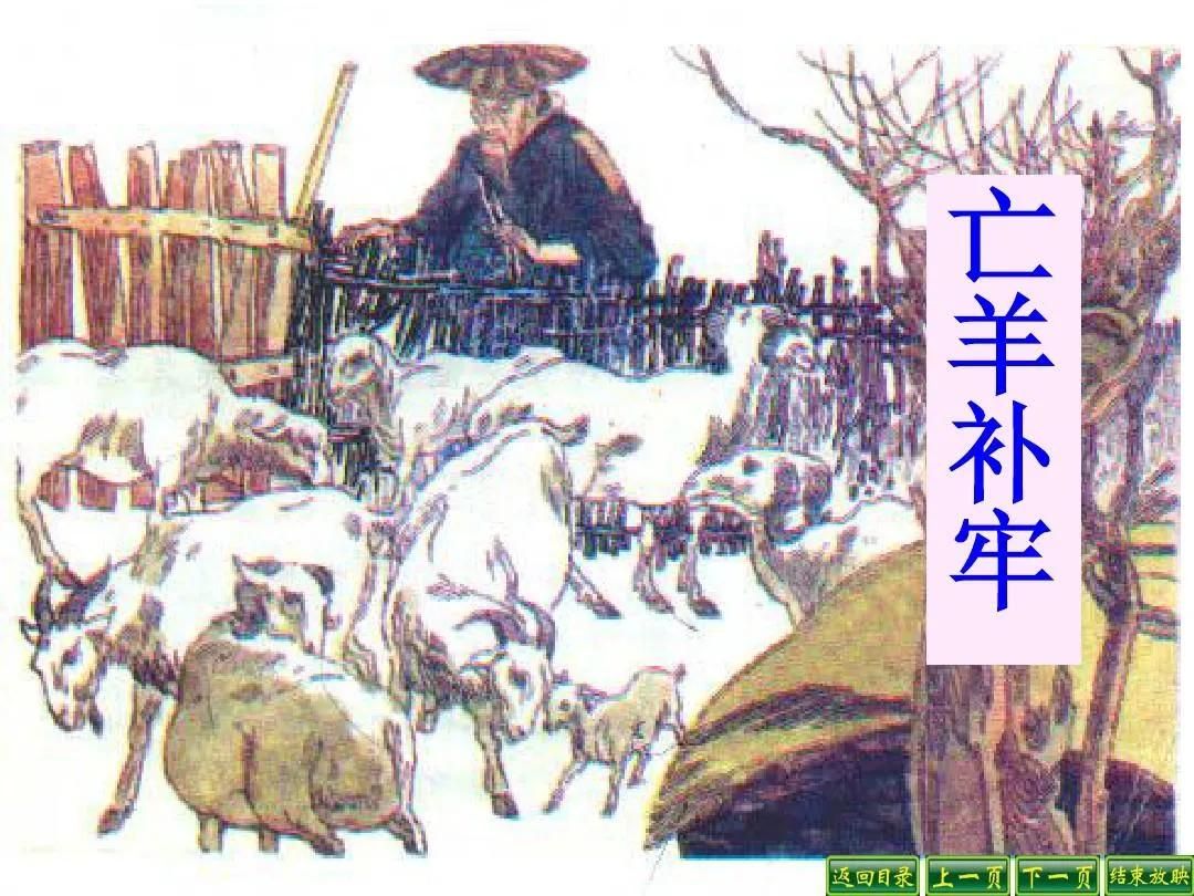 亡羊补牢的故事告诉我们什么道理(亡羊补牢故事文字版)
