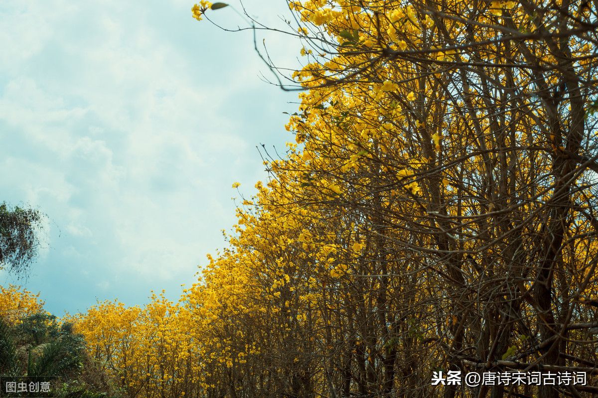 有名气的17首七律唐诗(著名的十七首七律律诗点评)