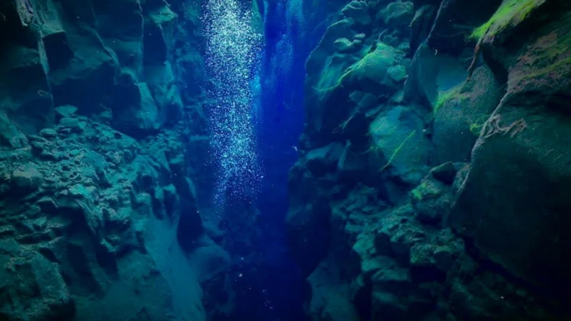 在马里亚纳海沟发现的10种神秘生物，其中一种像是来自地狱的声音