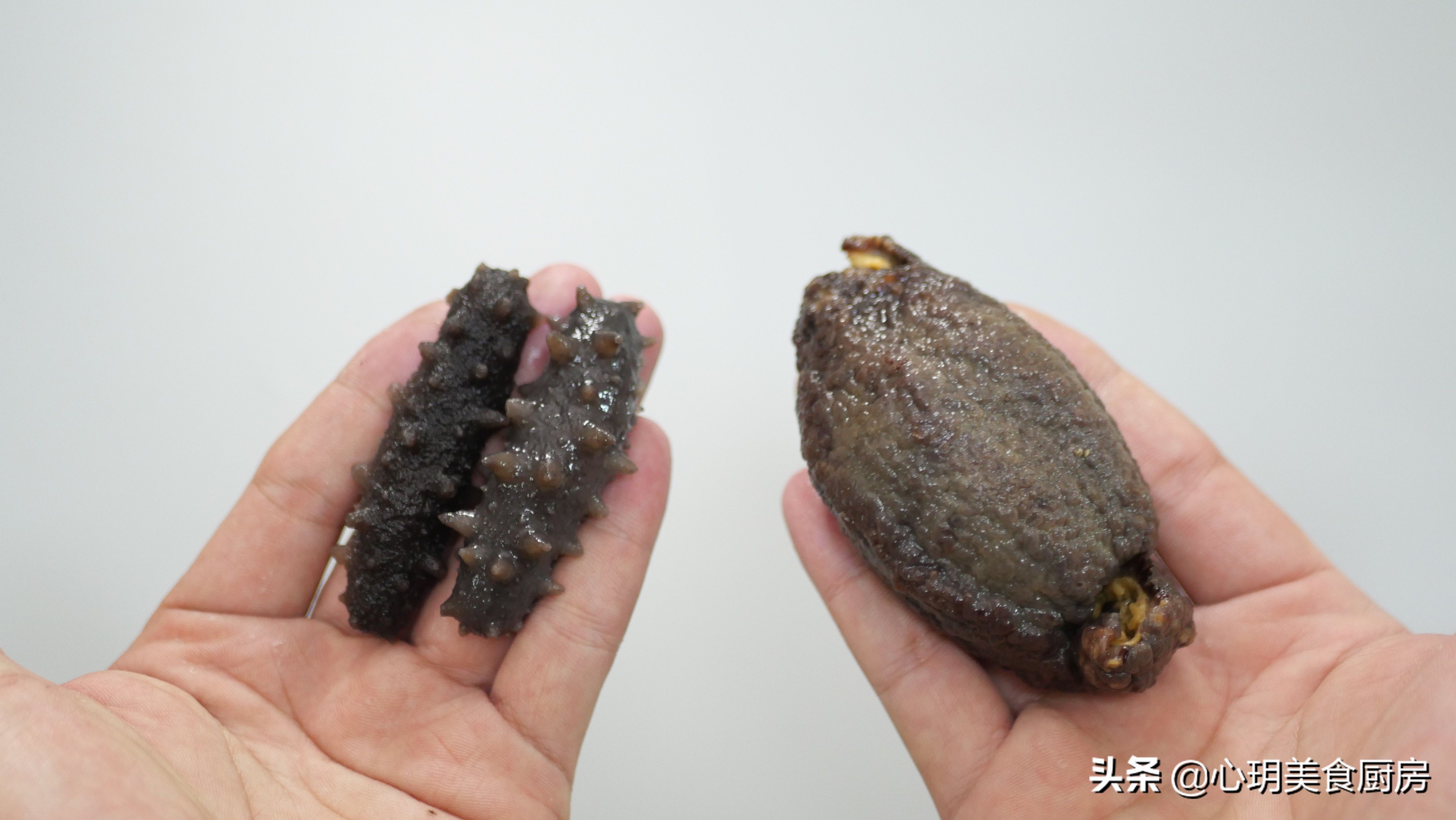 海参如何泡发营养不流失(海参泡发方法全面的图文教程)