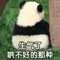 生气表情包搞笑带字版合集｜我生气了，马上安慰我