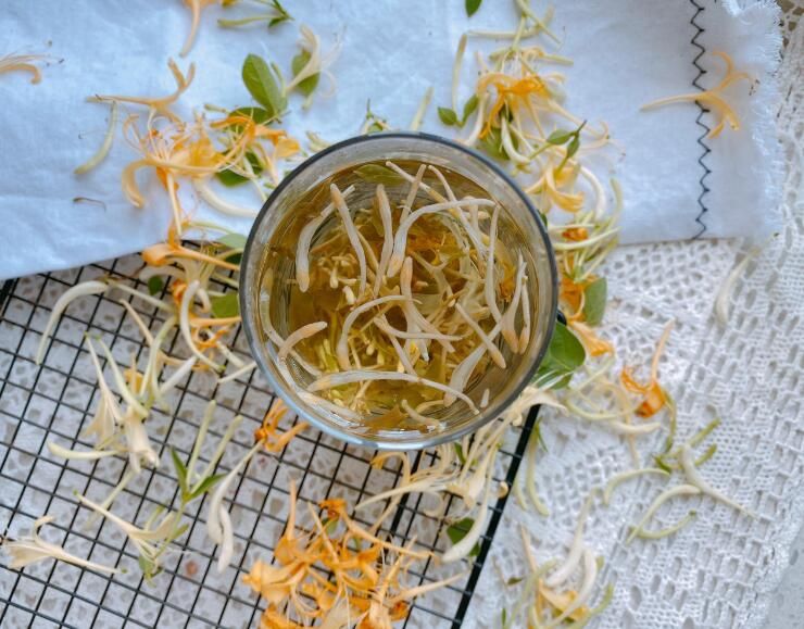金银花怎么泡水喝好(1分钟学会自制金银花茶)