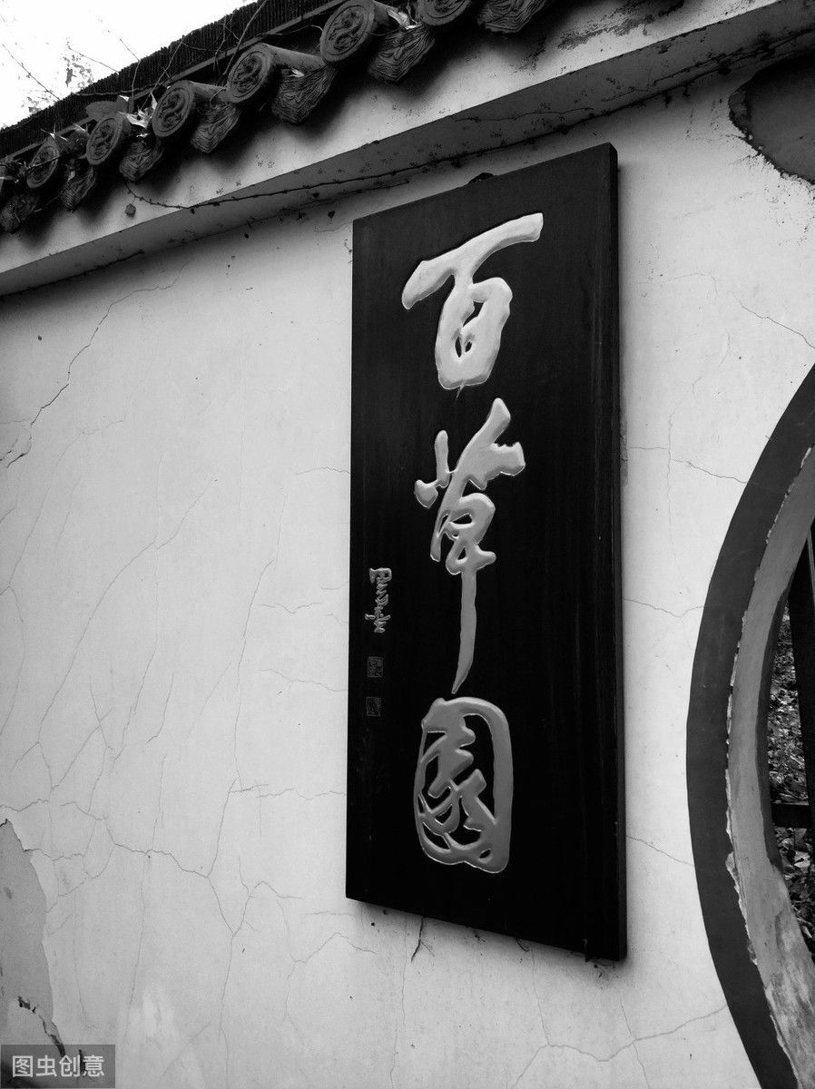 从百草园到三味书屋课文原文(我的百草园主要内容)