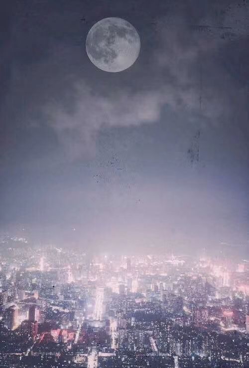 驿路梨花课文原文主要内容(驿路梨花背景结构赏析)