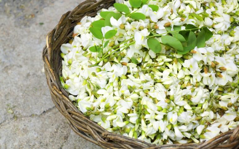 槐花怎么吃好(洋槐花3种家常做法大全)