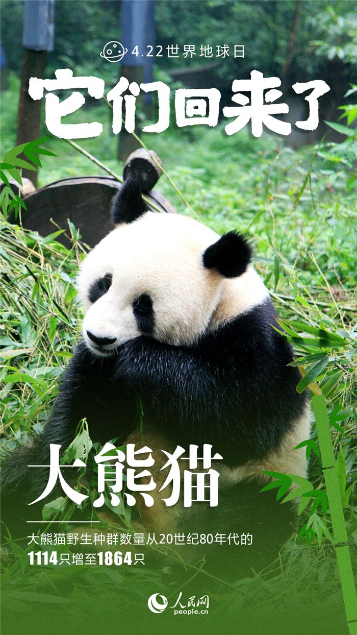 保护野生动物图片画册(国家重点保护野生动物图片)