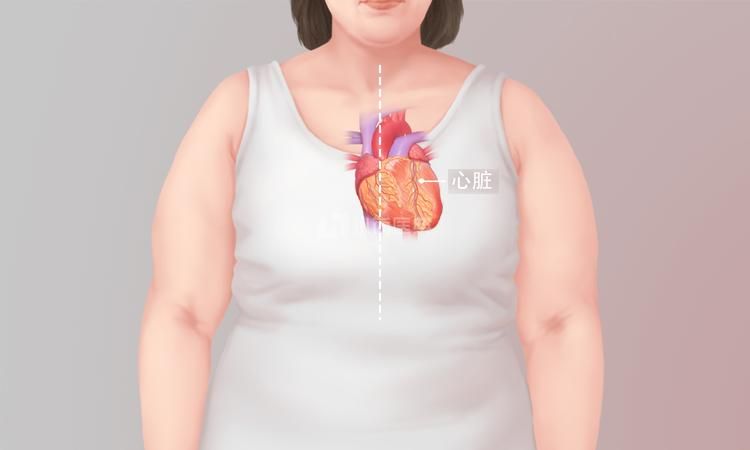 心脏在人体哪个位置图（正常人的心脏在左边还是右边图解）
