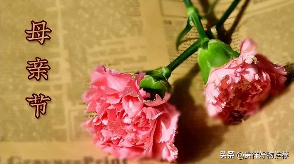 2022年母亲节是5月8日，过母亲节是中国传统习俗吗？