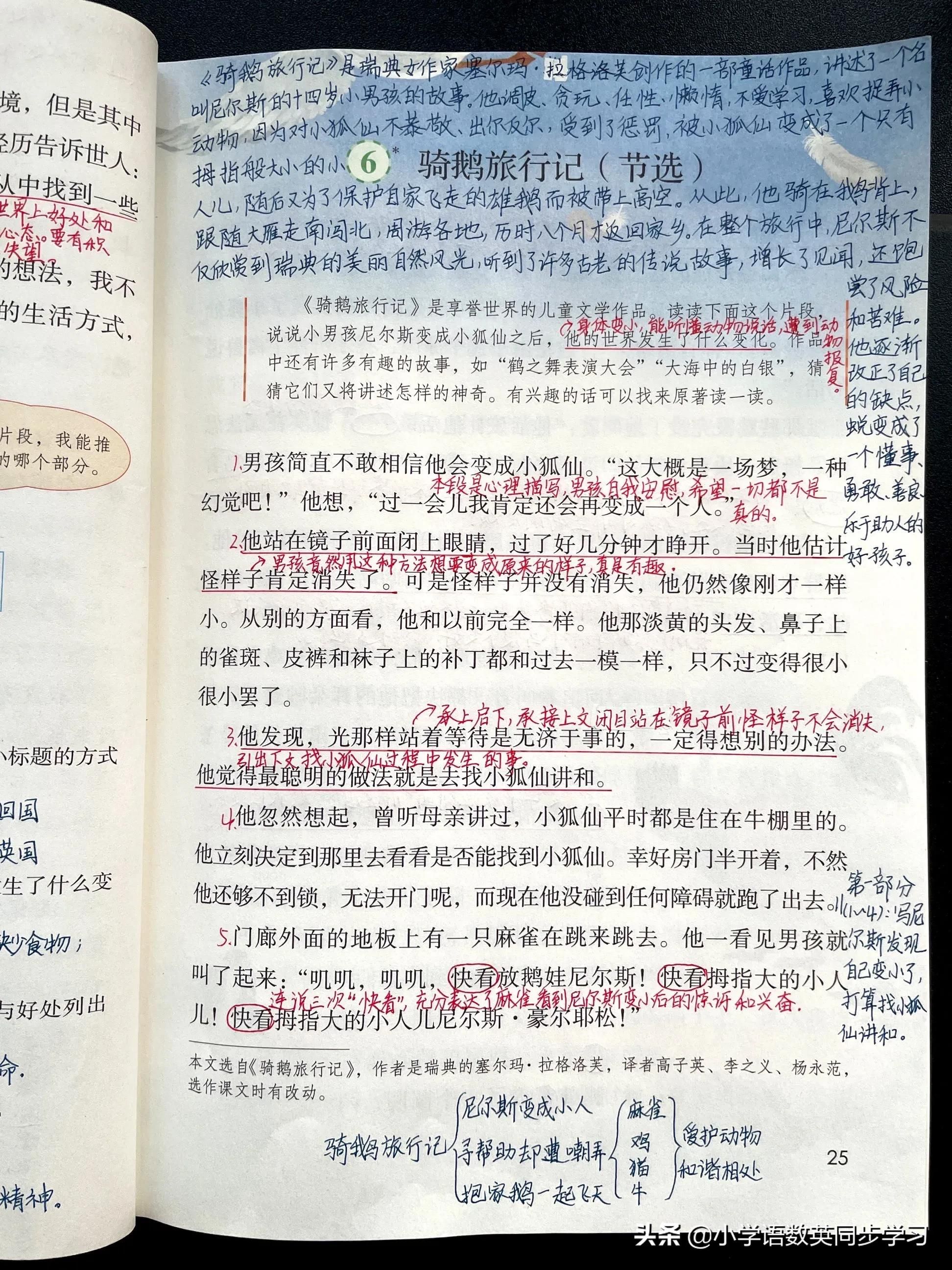骑鹅旅行记好词好句摘抄及感悟(小学语文骑鹅旅行记精彩语段赏析)