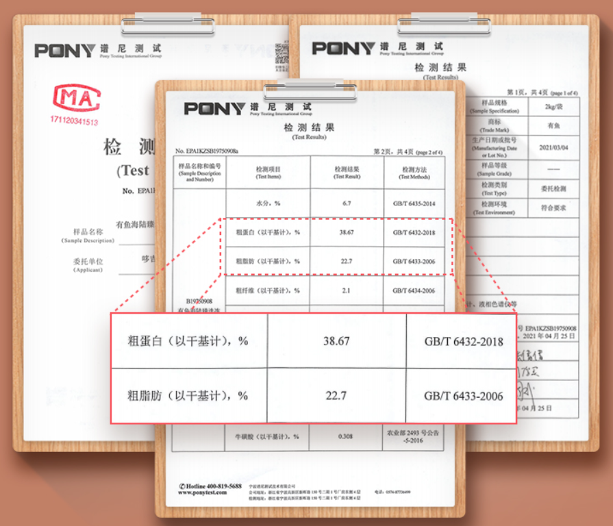 十大国产猫粮推荐，低调做事的国产品牌，应该被更多人知晓