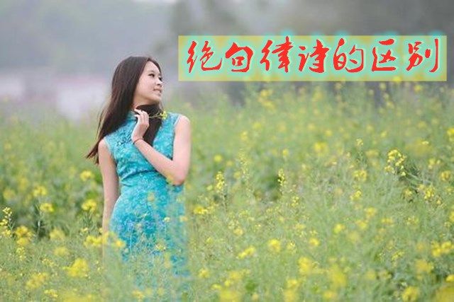 绝句和律诗的区别在哪里(古诗分为绝句和律诗吗