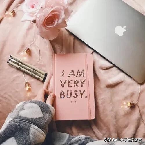 吊唁怎么读音是什么意思(八年级总复习基础字词汇总)
