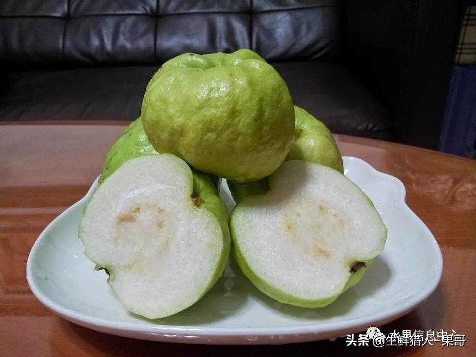 小众水果芭乐，又被茶饮店们带火了，最全芭乐说明书