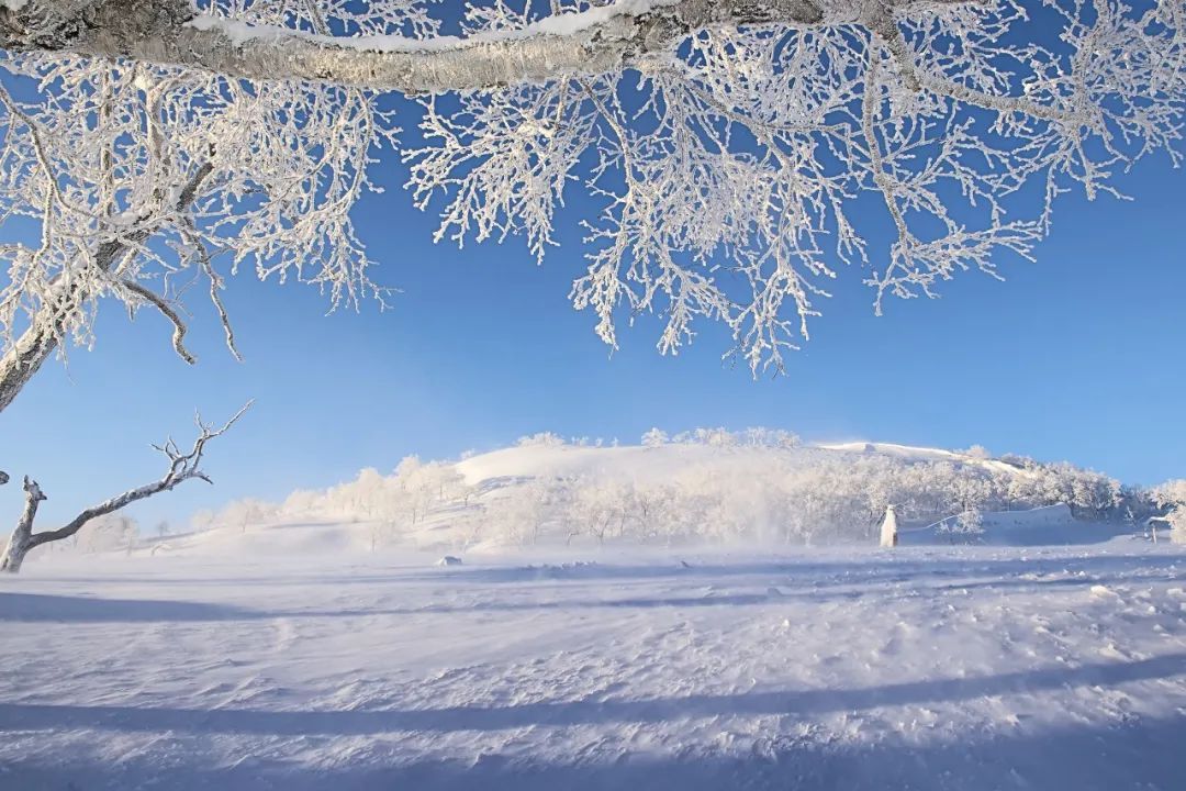 关于雪的古诗有哪些(描写100首经典雪的诗词名句大全)