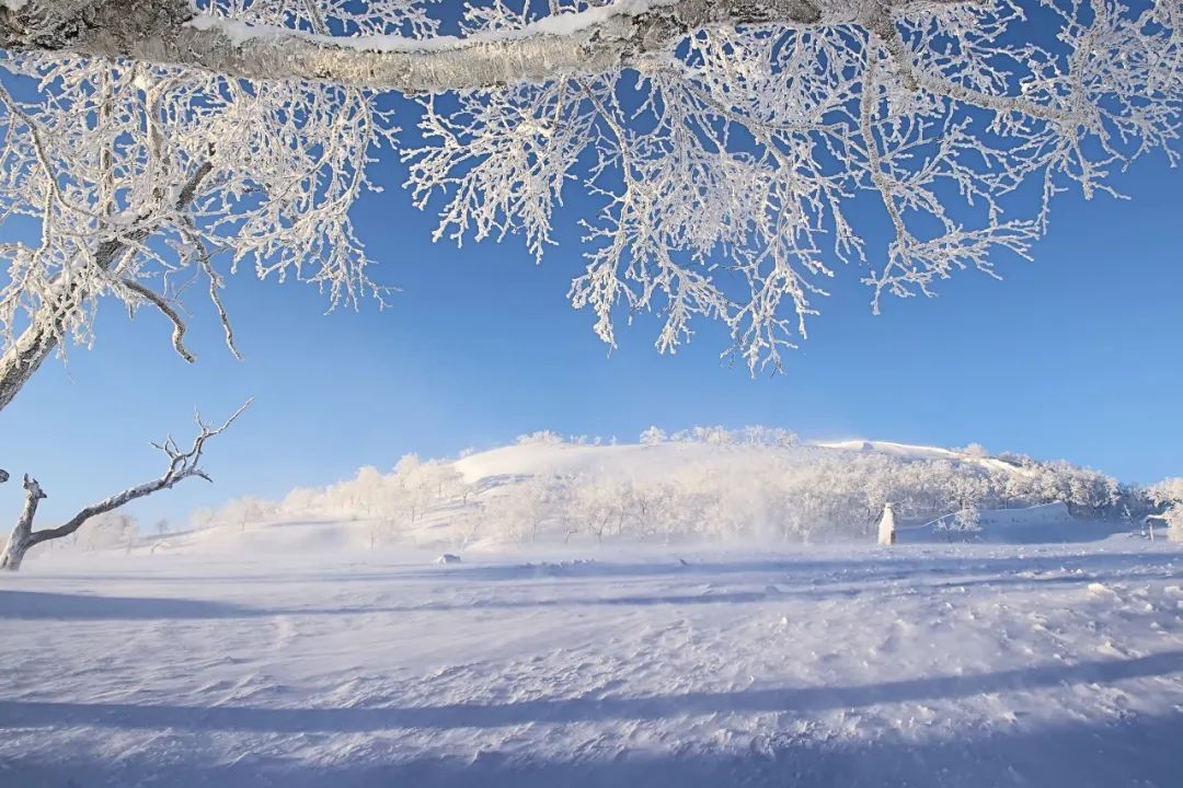 关于雪的古诗有哪些（描写100首经典雪的诗词名句大全）