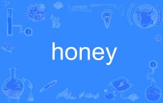 honey是什么意思(honey的意思中文翻译及情侣称呼)