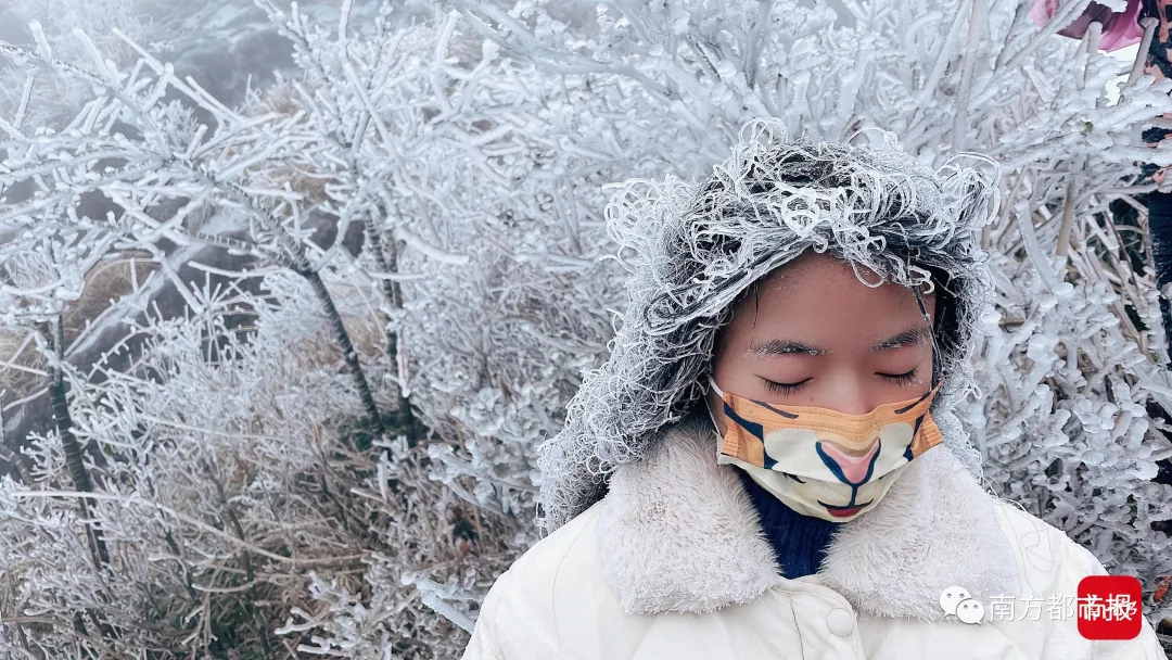 ﹣3°C，广东下雪了！朋友圈刷屏