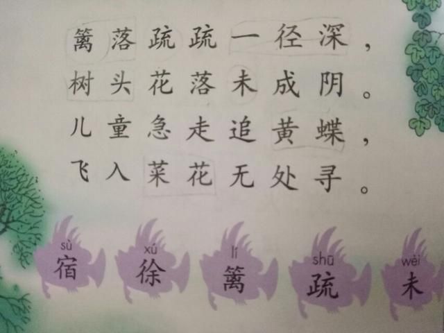 宿新市徐公店的诗意和翻译(此诗表达了诗人什么感情)