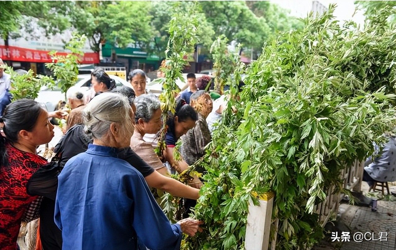 端午挂艾草，记住“3不挂”，单数还是双数？一定不要挂错了