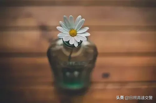 心态好的句子有哪些(放好心态顺其自然的句子)