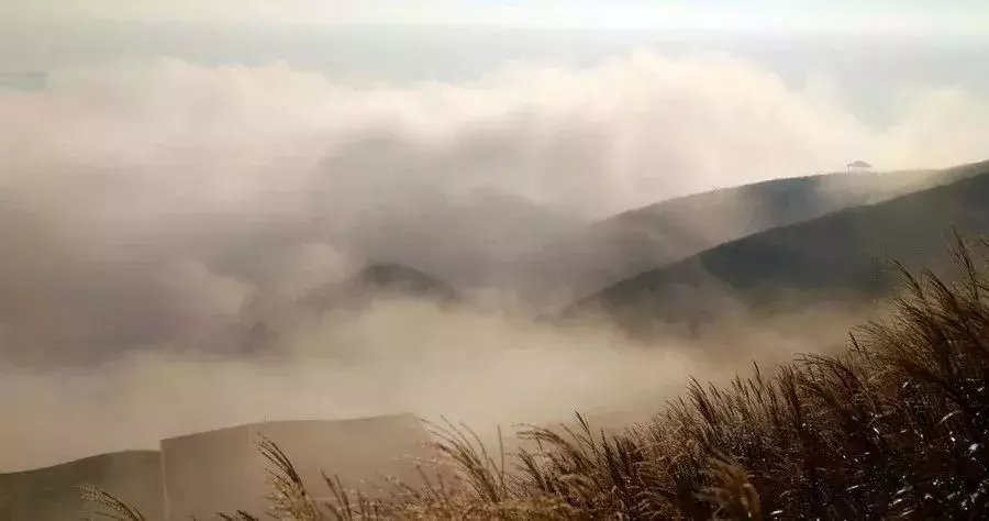释怀是什么意思(对一段感情突然释怀的走心美文)