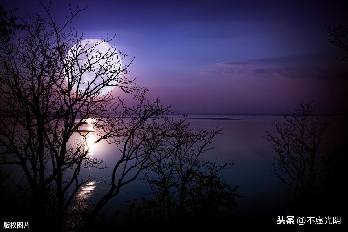 十五夜望月古诗原文(十五夜望月古诗拼音和翻译及赏析)