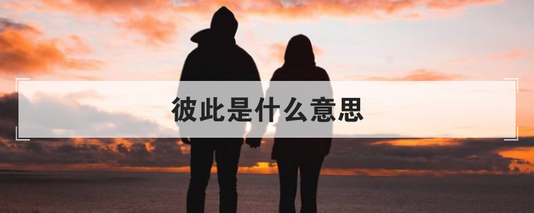 彼此是什么意思解释一下(彼此词语基本意思解释),