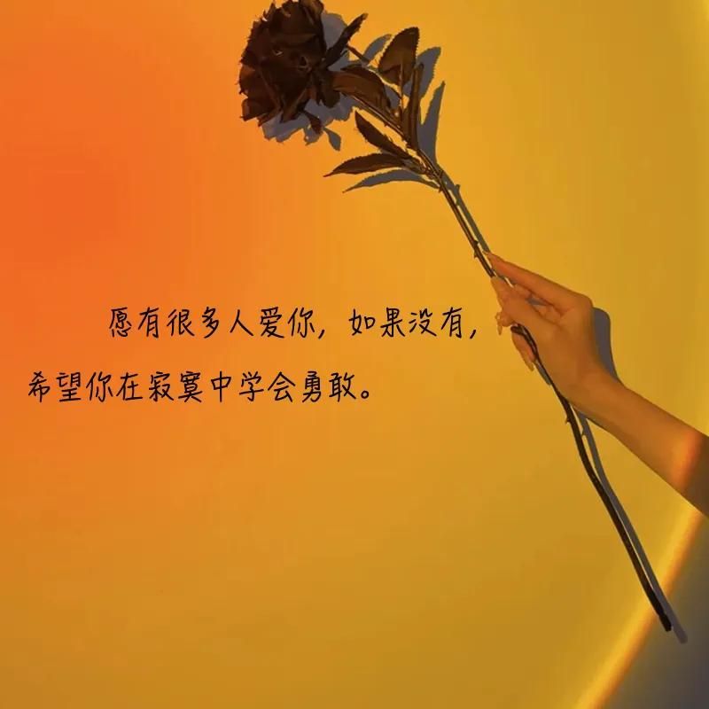 经典的励志短句